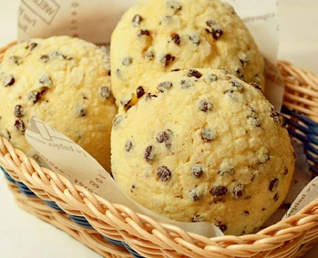 Japanese melon pan with chocolate chips
